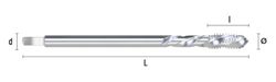 Macho Ciego Hsse Din 376/374-C